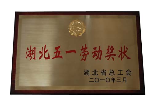 湖北五一勞動(dòng)獎(jiǎng)狀
